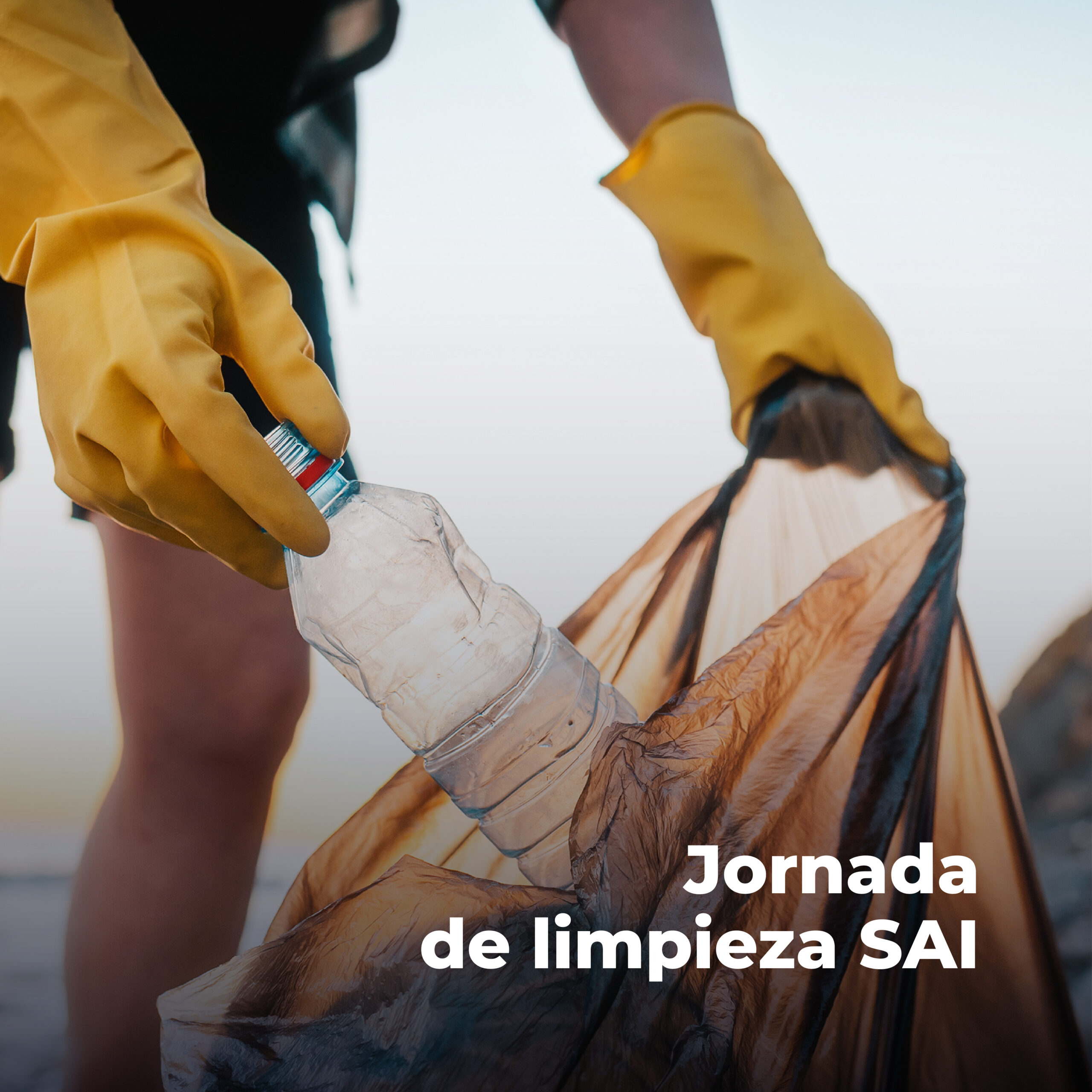 Jornada De Limpieza SAI