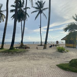 ¡SOMOS EL DESTINO DE PLAYA LÍDER EN SUDAMÉRICA (NUEVAMENTE)!