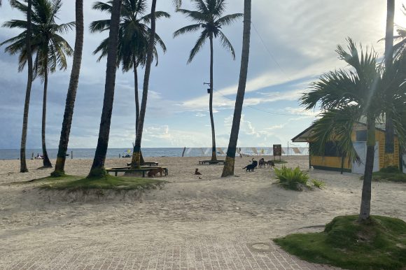 ¡SOMOS EL DESTINO DE PLAYA LÍDER EN SUDAMÉRICA (NUEVAMENTE)!