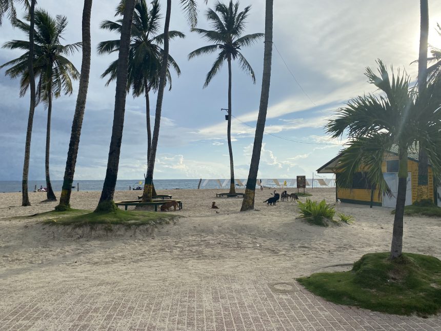 ¡SOMOS EL DESTINO DE PLAYA LÍDER EN SUDAMÉRICA (NUEVAMENTE)!