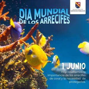 DÍA MUNDIAL DE LOS ARRECIFES