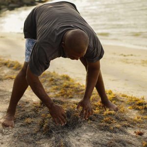 UNIDOS POR NUESTRAS PLAYAS Y OCÉANOS