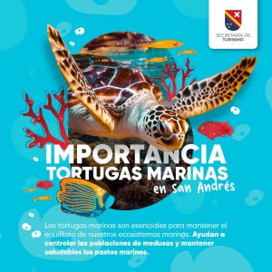 PROTEJAMOS A LAS TORTUGAS MARINAS EN SAN ANDRÉS