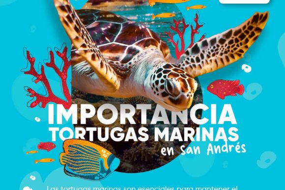 PROTEJAMOS A LAS TORTUGAS MARINAS EN SAN ANDRÉS