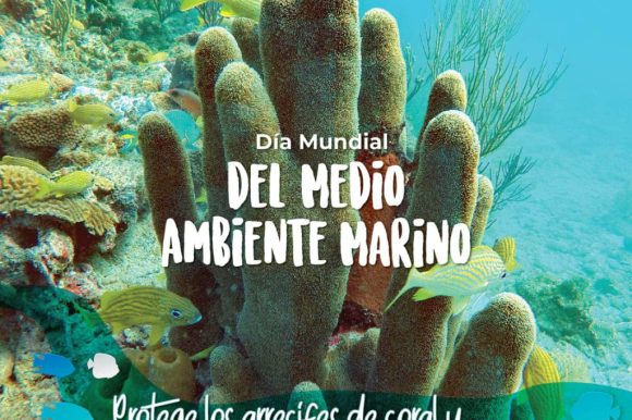 CELEBRANDO EL DÍA MUNDIAL DEL MEDIO AMBIENTE MARINO