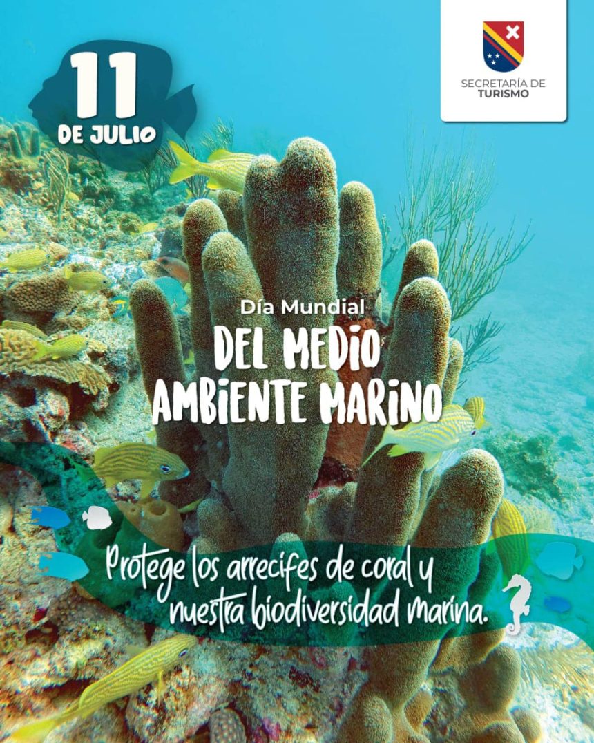 CELEBRANDO EL DÍA MUNDIAL DEL MEDIO AMBIENTE MARINO