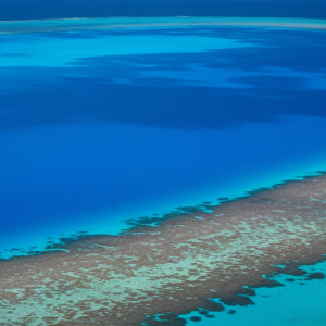 San Andrés, Providencia o Santa Catalina: Descubre tu Paraíso Ideal