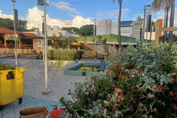 Secretaría de Turismo realizó jornada de embellecimiento en el Parque de la Barracuda Secretaría de Turismo realizó jornada de embellecimiento en el Parque de la Barracuda