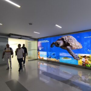 Marca destino “Vas a Mar San Andrés” llega al Aeropuerto Internacional de Cali